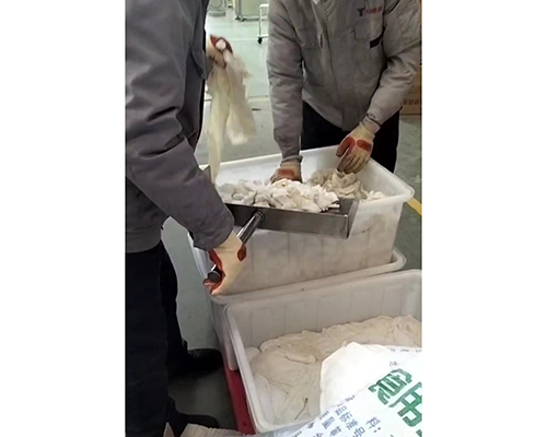 老客戶二次合作真空滾揉機系列肉制品設備絞肉機拌餡機擠出機(圖2)